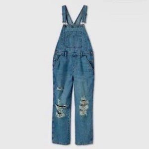 Wild Fable Distressed Denim Overalls